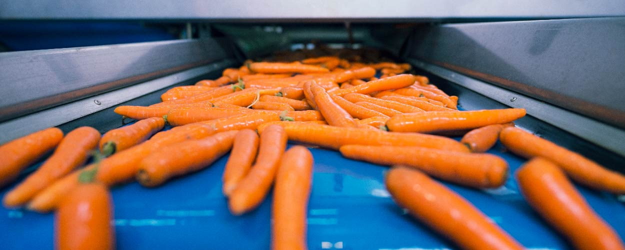 que es una cinta transportadora qué es una cinta transportadora hn tools zaragoza caracteristicas de una cinta transportadora