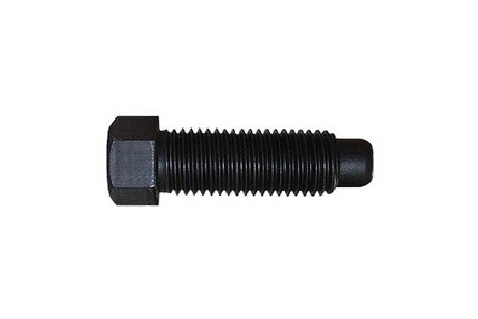 Tornillo hexagonal con pivote